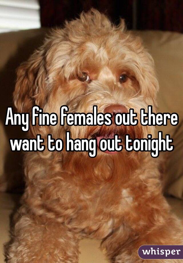 Any fine females out there want to hang out tonight 