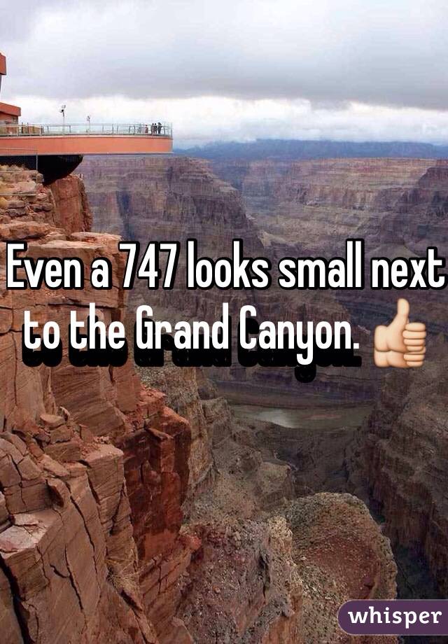 Even a 747 looks small next to the Grand Canyon. 👍