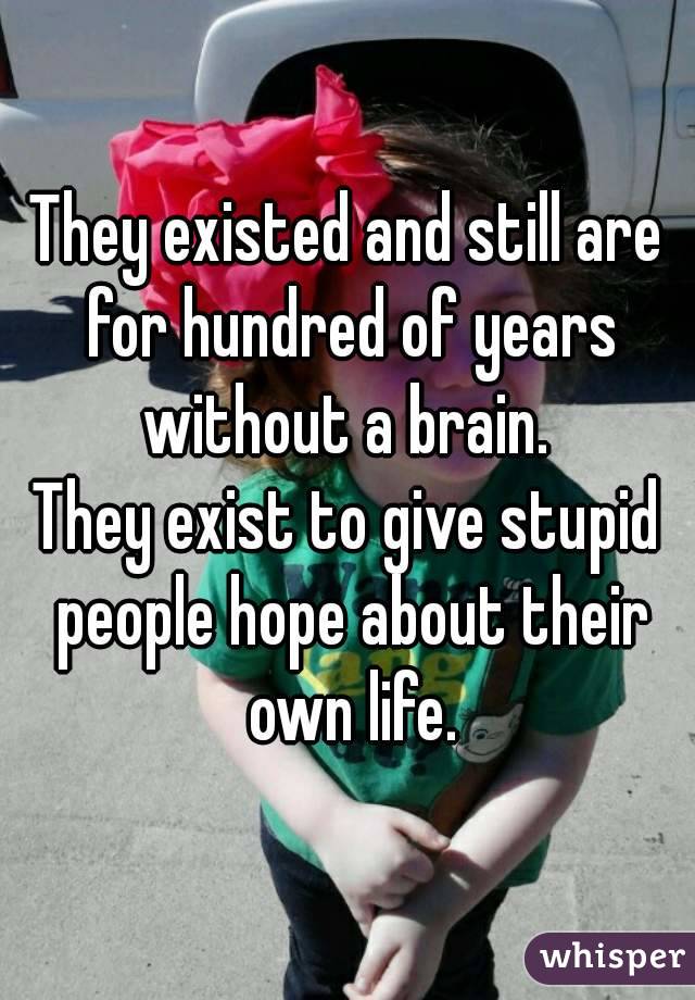 They existed and still are for hundred of years without a brain. 
They exist to give stupid people hope about their own life.