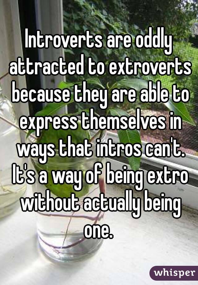 Introverts are oddly attracted to extroverts because they are able to express themselves in ways that intros can't. It's a way of being extro without actually being one. 