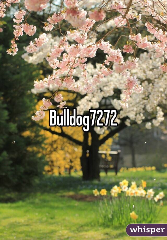 Bulldog7272