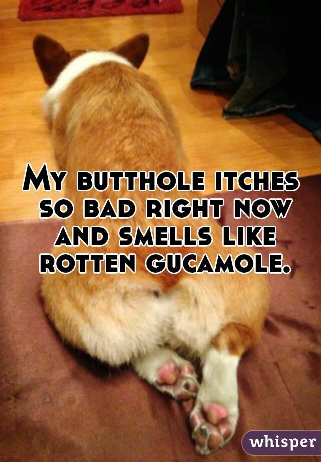 My butthole itches so bad right now and smells like rotten gucamole.