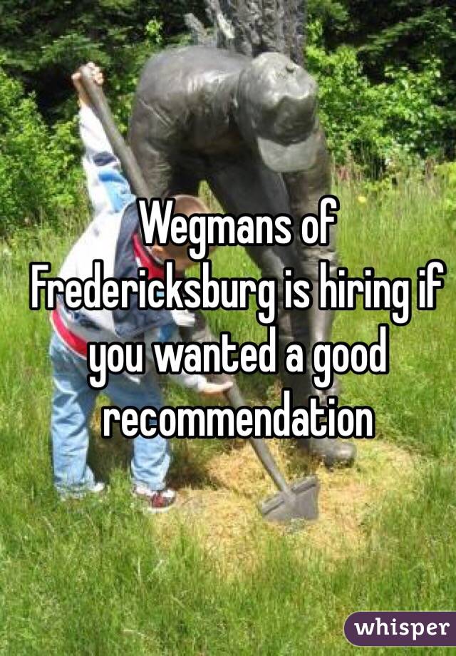 Wegmans of Fredericksburg is hiring if you wanted a good recommendation