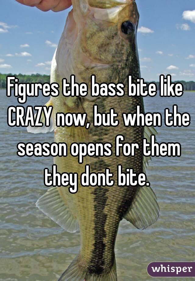 Figures the bass bite like  CRAZY now, but when the season opens for them they dont bite. 