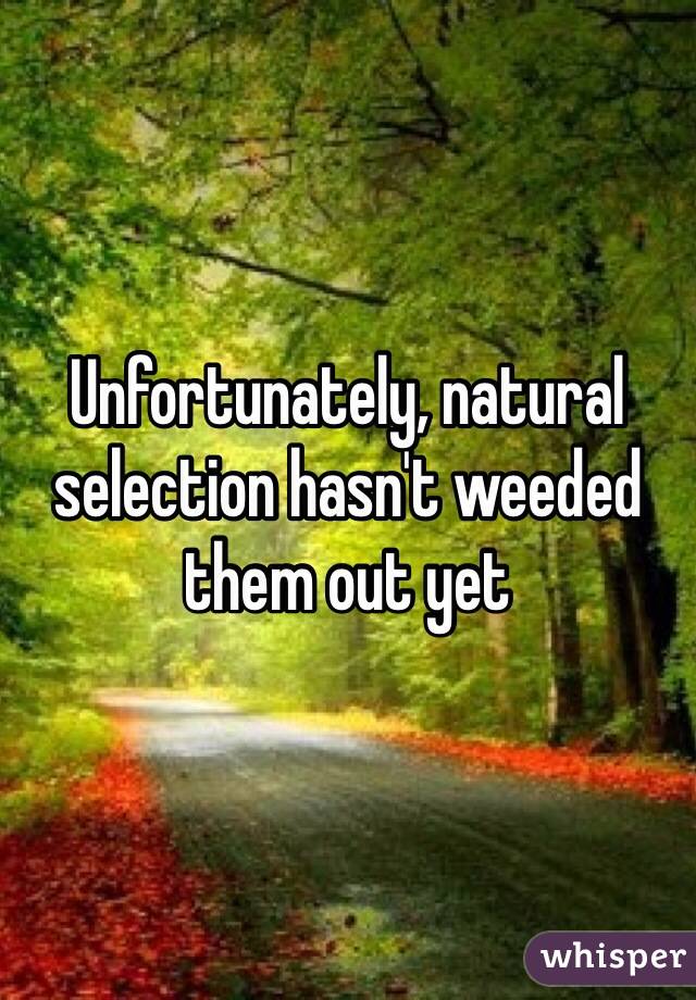 Unfortunately, natural selection hasn't weeded them out yet