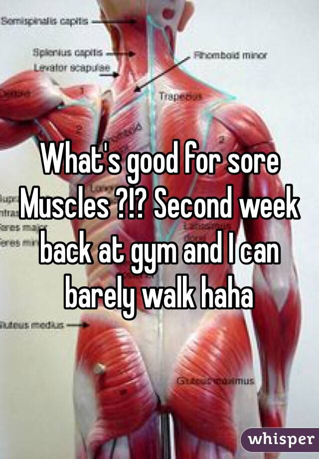 What's good for sore
Muscles ?!? Second week back at gym and I can barely walk haha