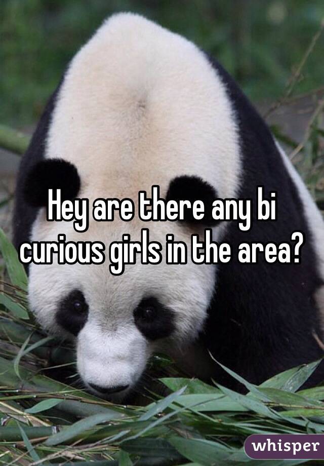 Hey are there any bi curious girls in the area?