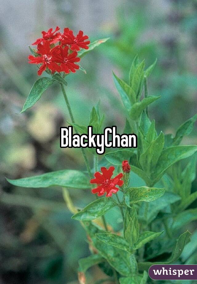 BlackyChan