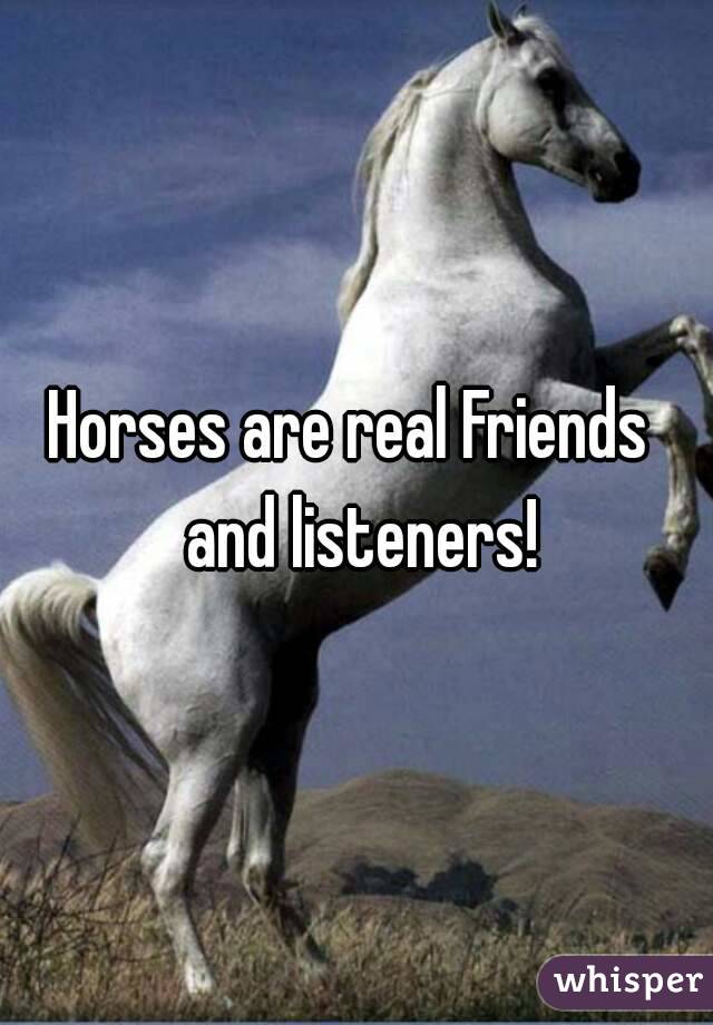 Horses are real Friends  and listeners!