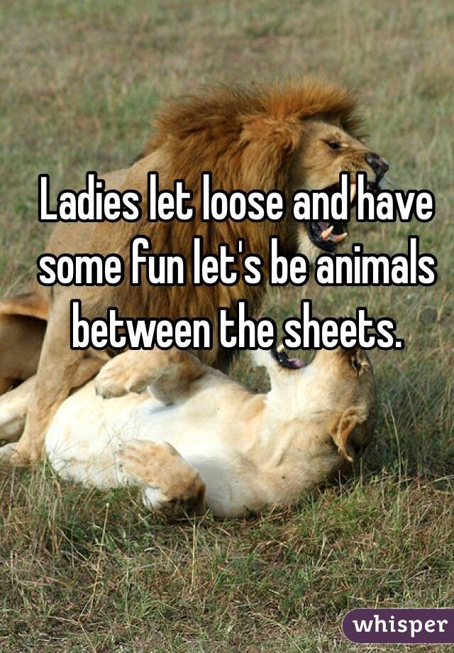 Ladies let loose and have some fun let's be animals between the sheets. 