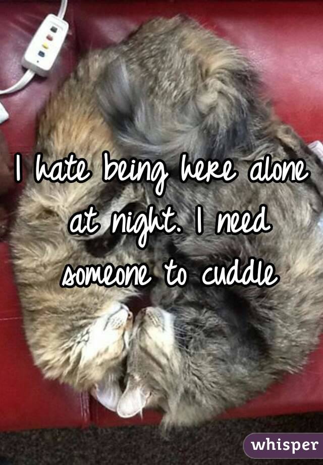 I hate being here alone at night. I need someone to cuddle