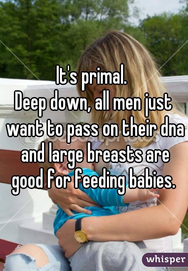 It's primal. 
Deep down, all men just want to pass on their dna and large breasts are good for feeding babies. 