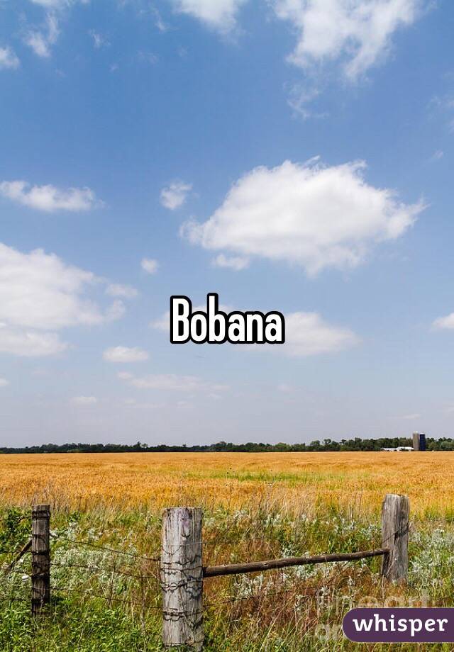 Bobana 