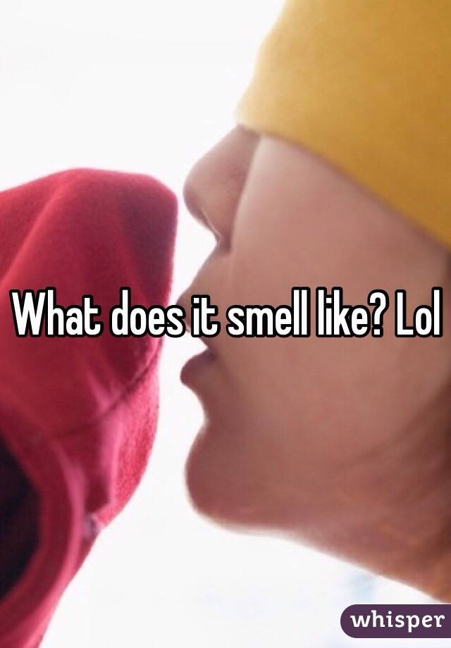 What does it smell like? Lol
