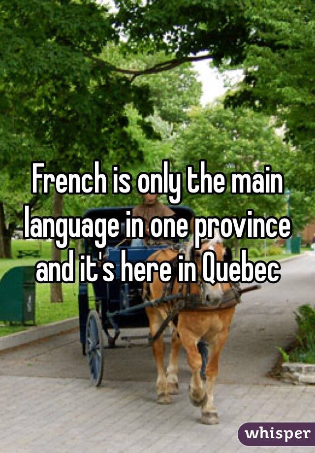 French is only the main language in one province and it's here in Quebec