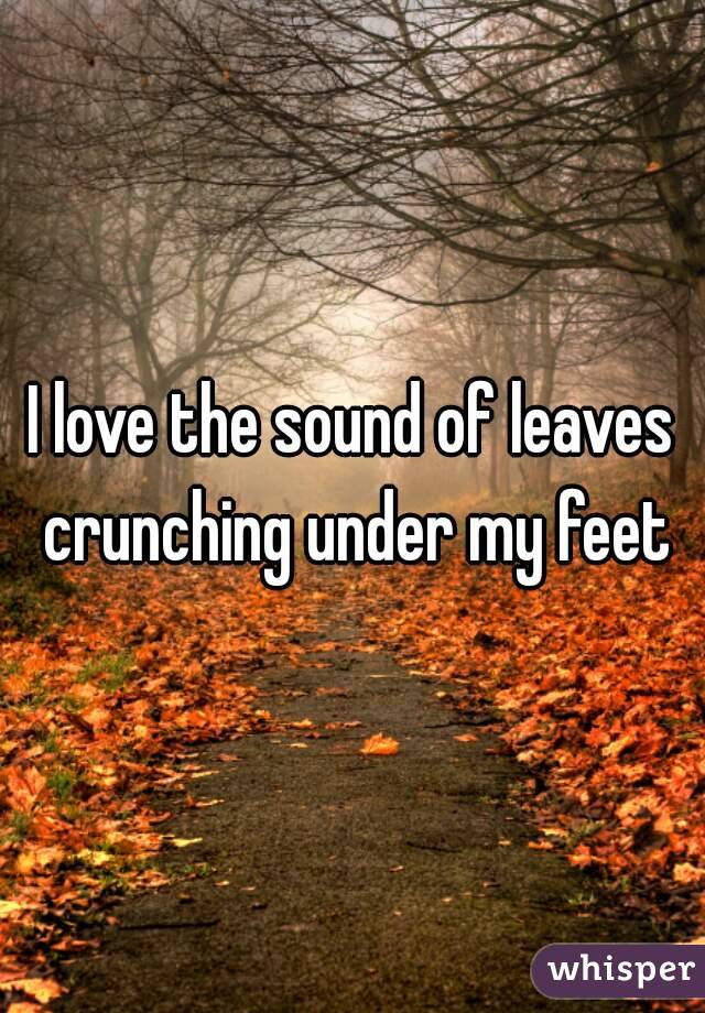 I love the sound of leaves crunching under my feet