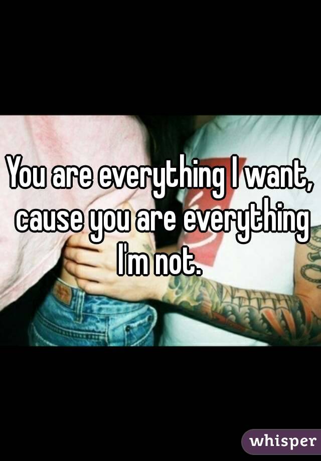 You are everything I want, cause you are everything I'm not. 