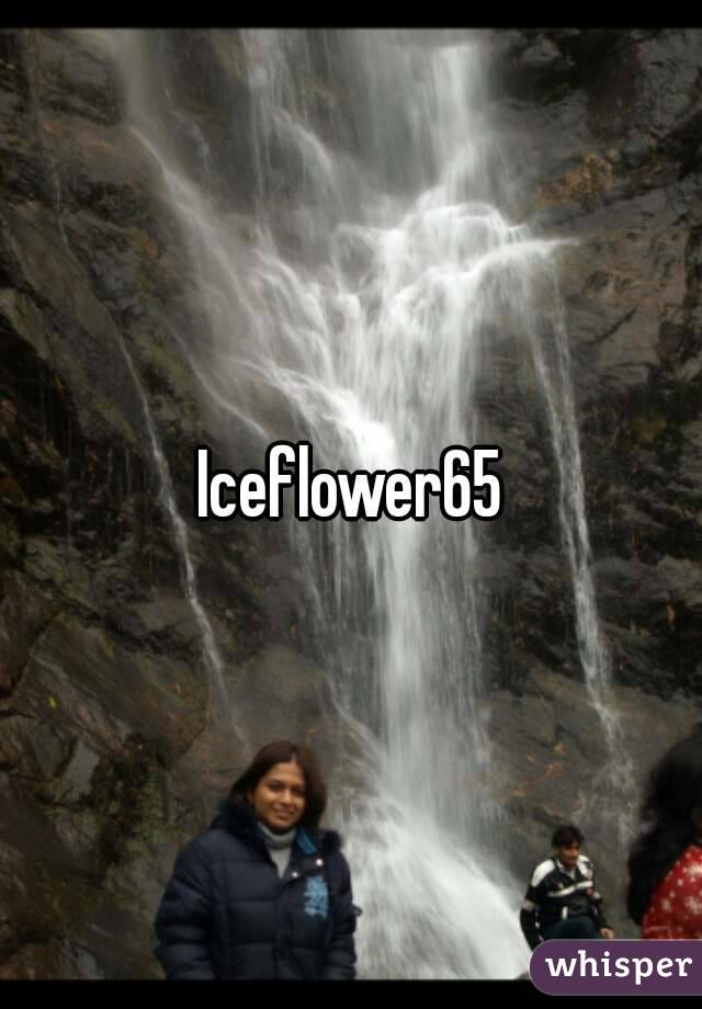 Iceflower65