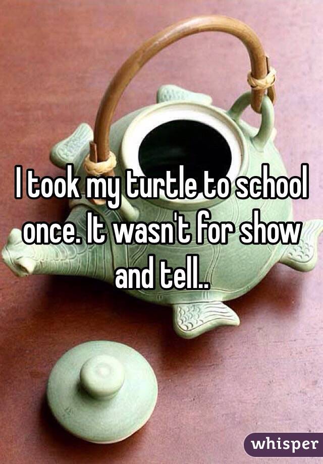 I took my turtle to school once. It wasn't for show and tell..