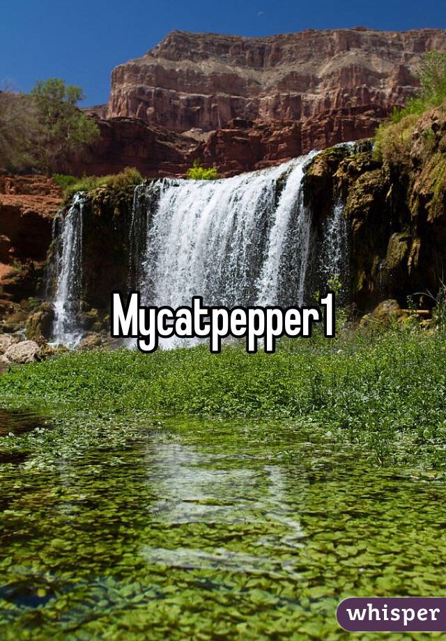 Mycatpepper1