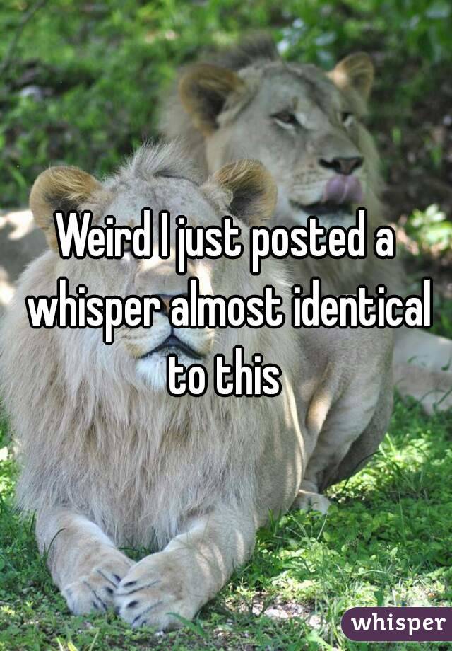 Weird I just posted a whisper almost identical to this 