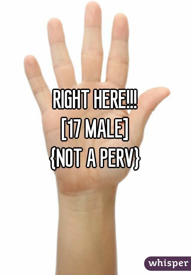 RIGHT HERE!!!
[17 MALE]
{NOT A PERV}