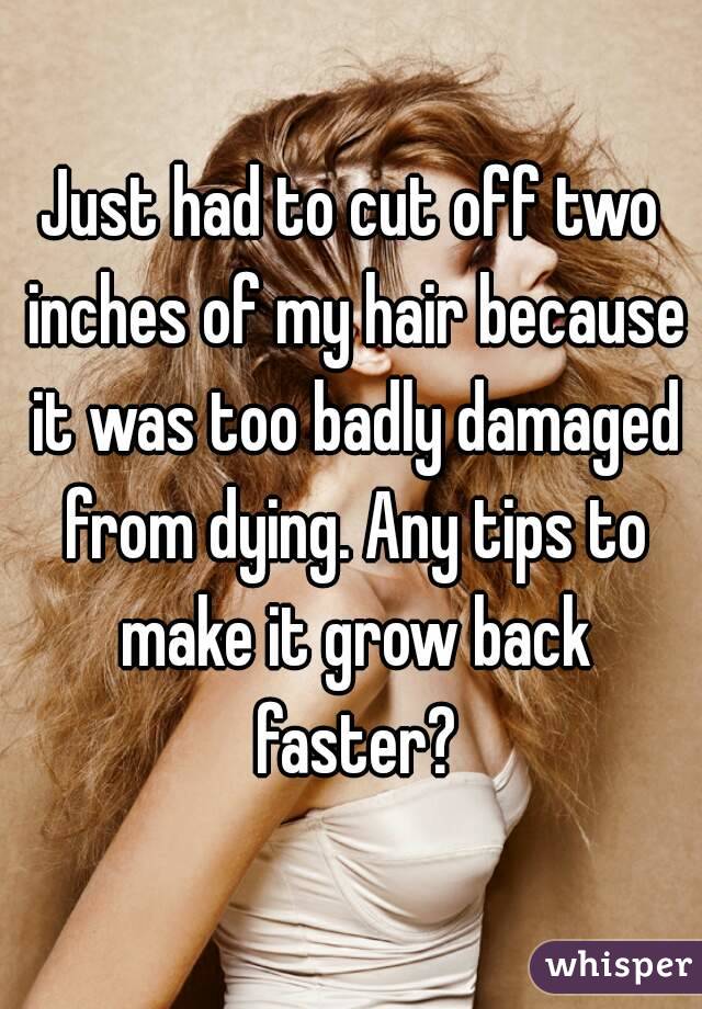 Just had to cut off two inches of my hair because it was too badly damaged from dying. Any tips to make it grow back faster?