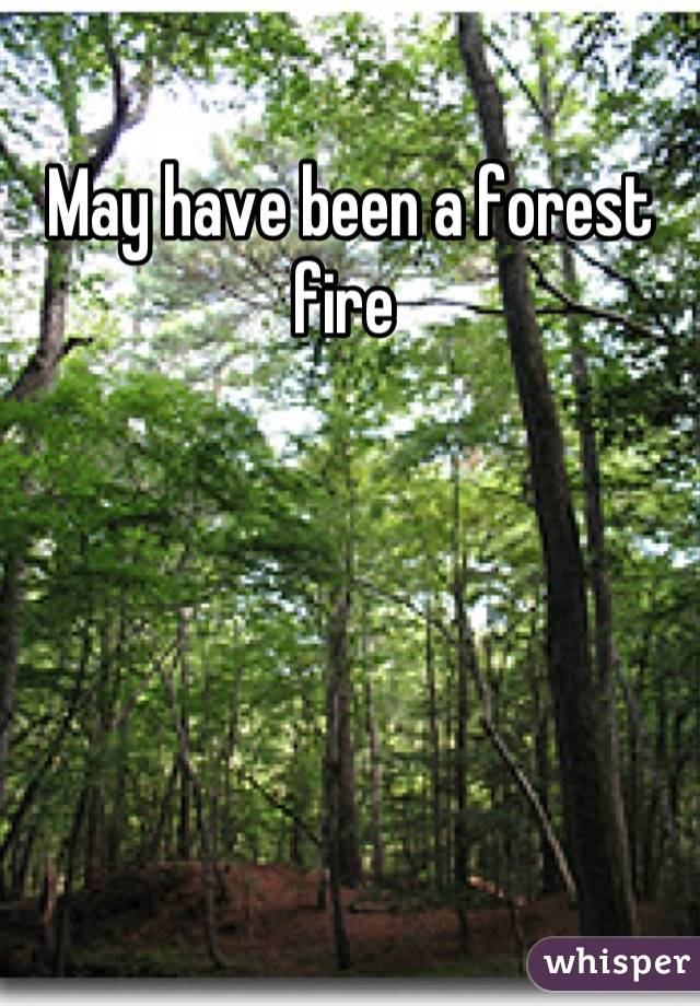 May have been a forest fire 