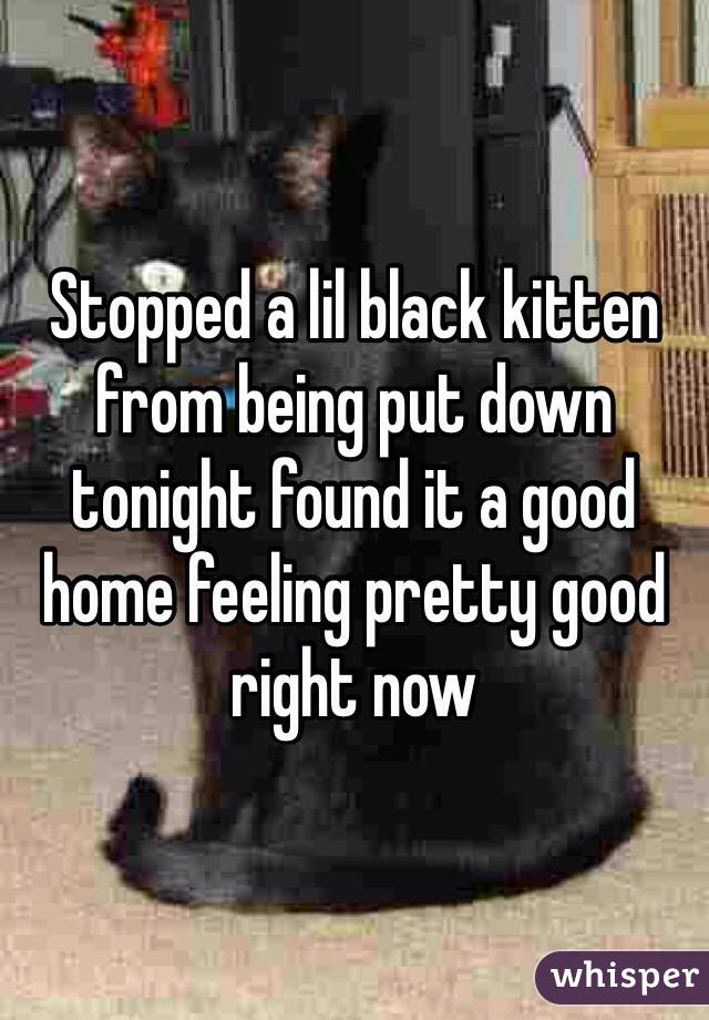 Stopped a lil black kitten from being put down tonight found it a good home feeling pretty good right now