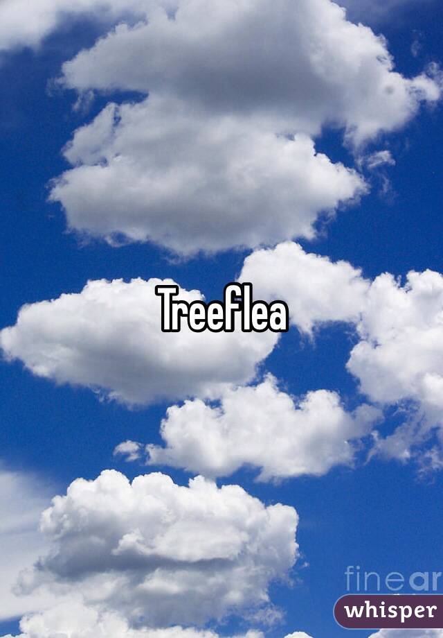 Treeflea