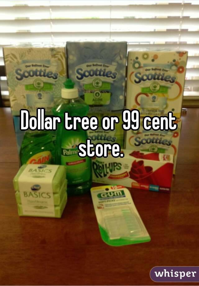 Dollar tree or 99 cent store.
