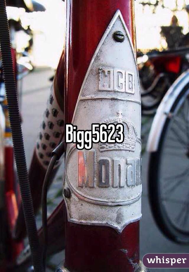 Bigg5623