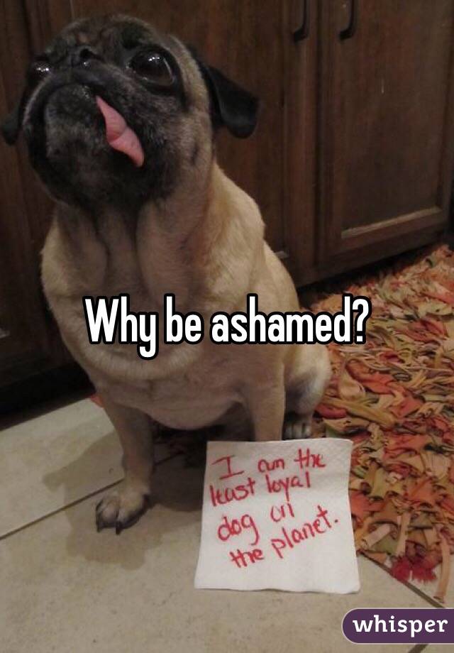 Why be ashamed? 