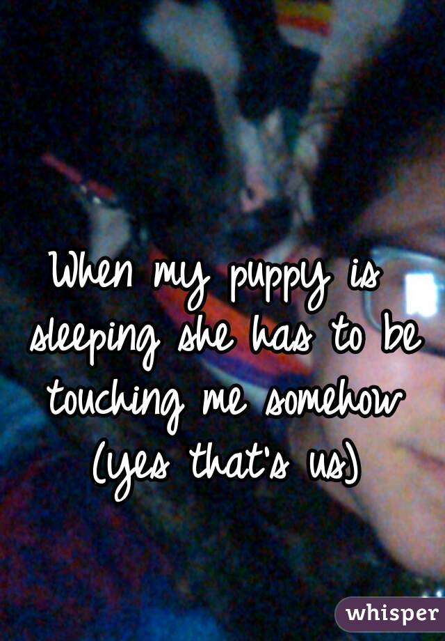 When my puppy is sleeping she has to be touching me somehow (yes that's us)