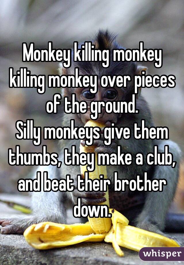 Monkey killing monkey killing monkey over pieces of the ground.
Silly monkeys give them thumbs, they make a club, and beat their brother down.