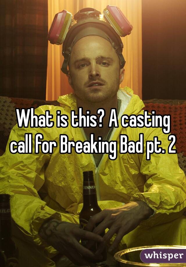What is this? A casting call for Breaking Bad pt. 2