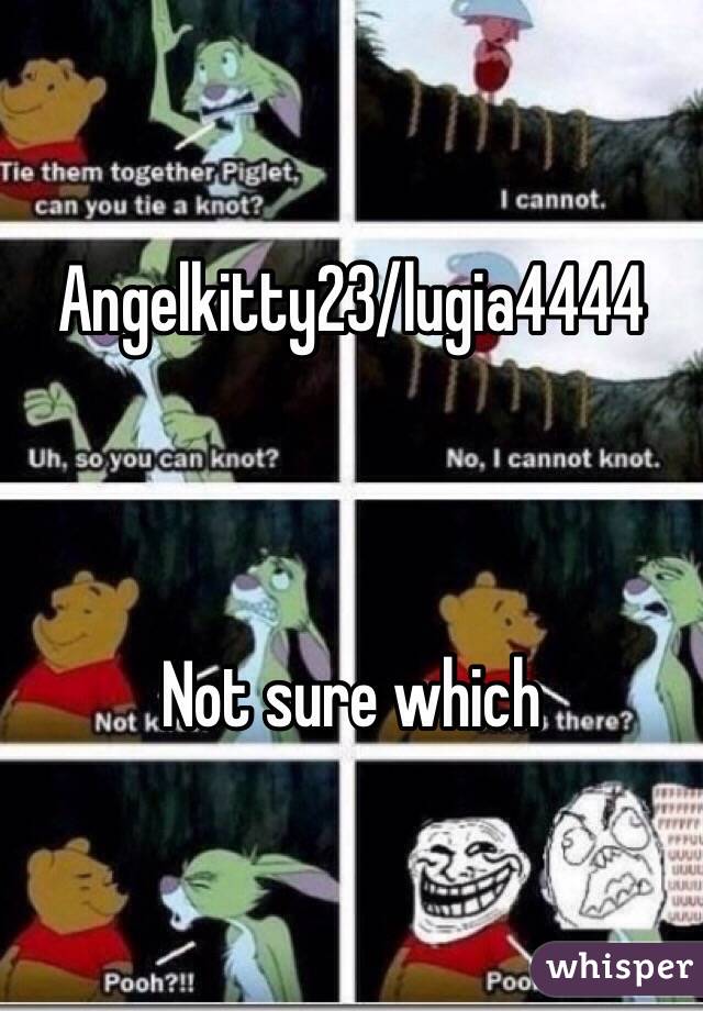 Angelkitty23/lugia4444



Not sure which