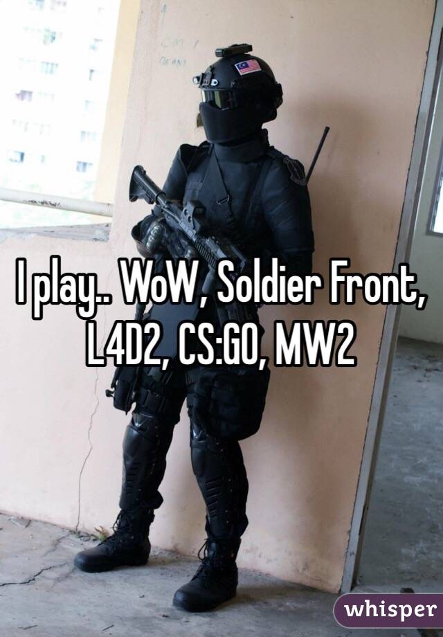 I play.. WoW, Soldier Front, L4D2, CS:GO, MW2