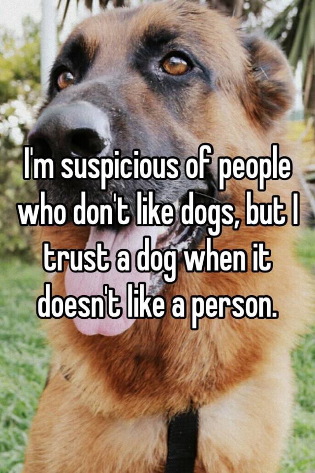 i-m-suspicious-of-people-who-don-t-like-dogs-but-i-trust-a-dog-when-it