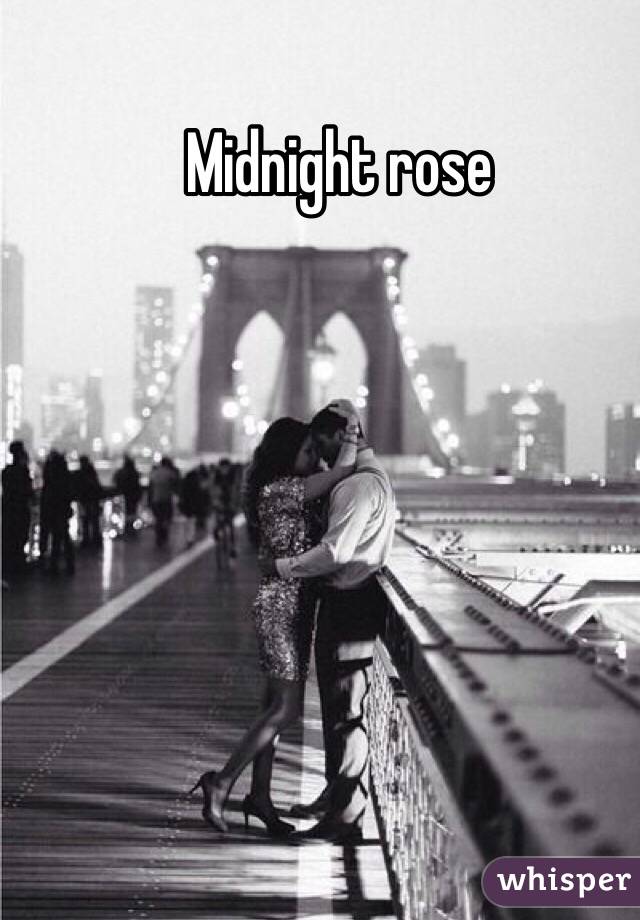 Midnight rose 