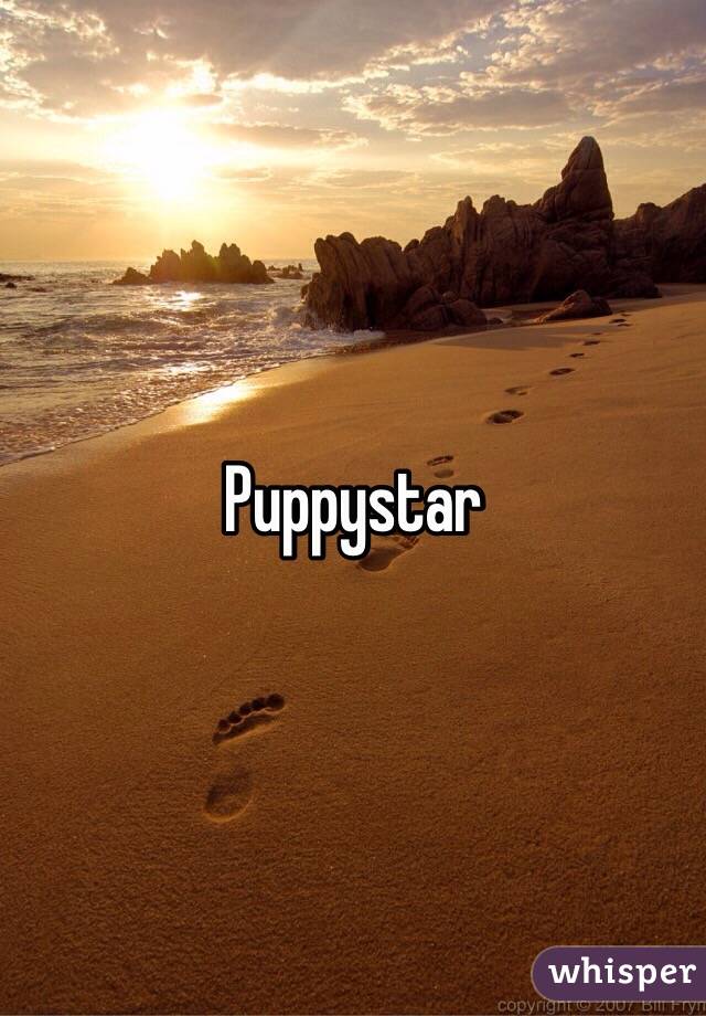 Puppystar