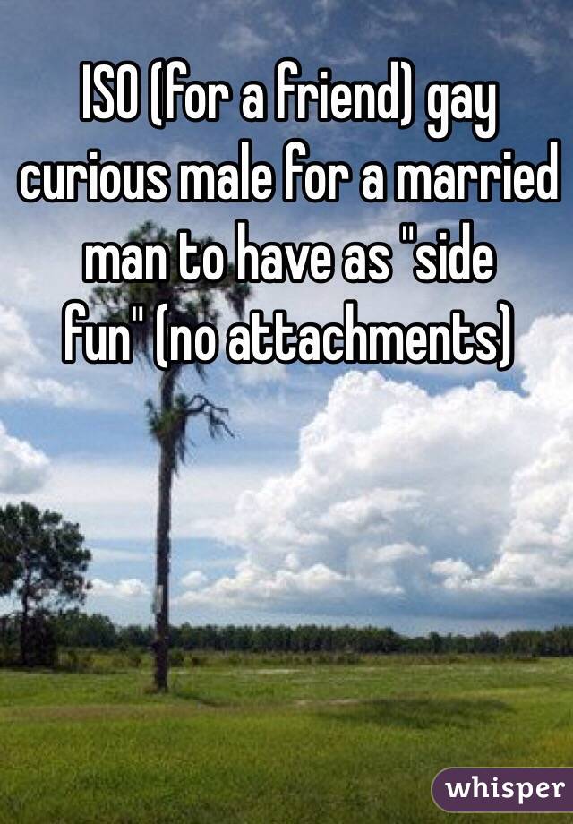 ISO (for a friend) gay curious male for a married man to have as "side fun" (no attachments)