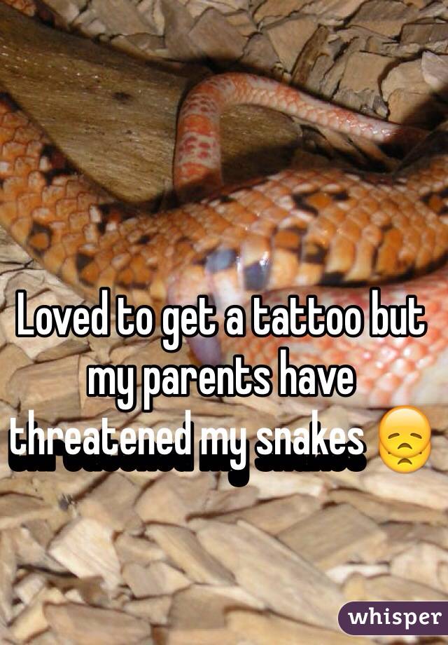 Loved to get a tattoo but my parents have threatened my snakes 😞