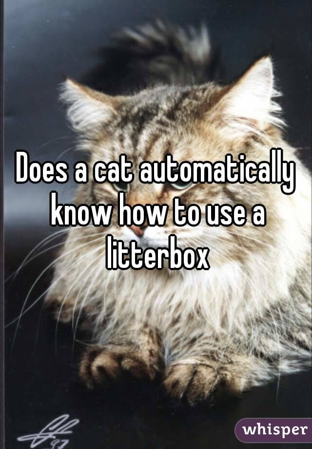 Does a cat automatically know how to use a litterbox