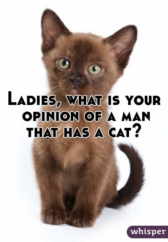 Ladies, what is your opinion of a man that has a cat? 