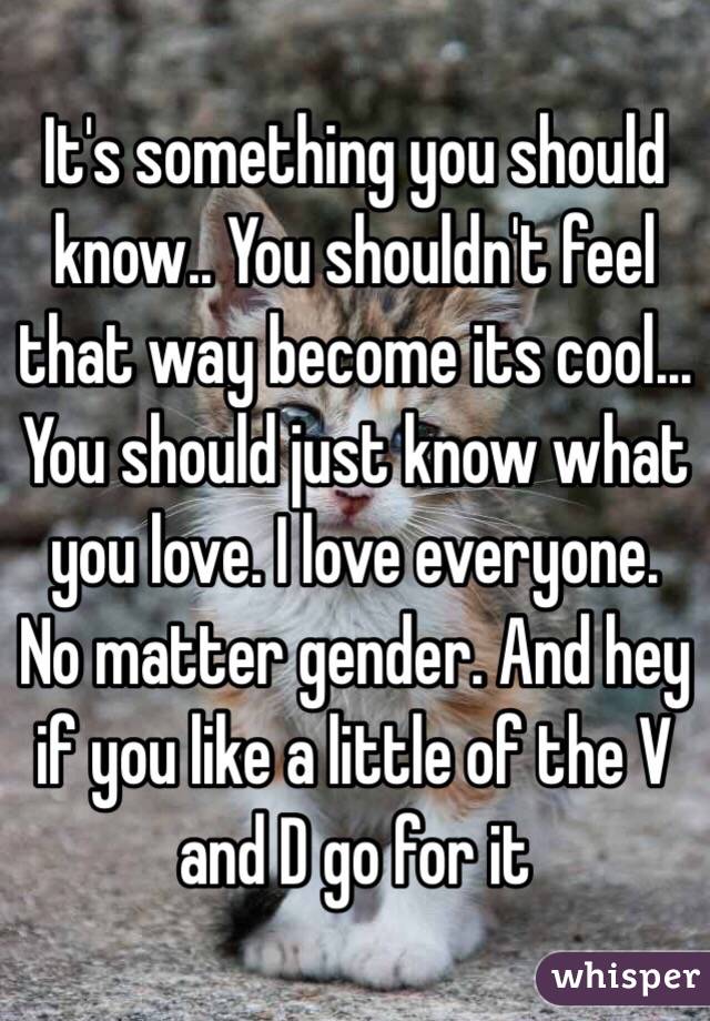 It's something you should know.. You shouldn't feel that way become its cool... You should just know what you love. I love everyone. No matter gender. And hey if you like a little of the V and D go for it