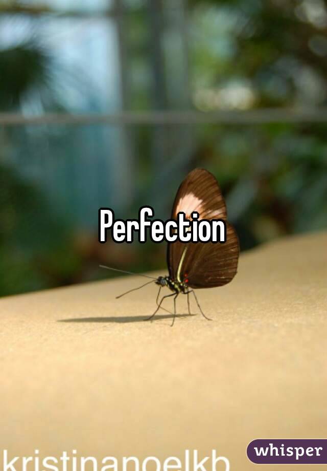 Perfection