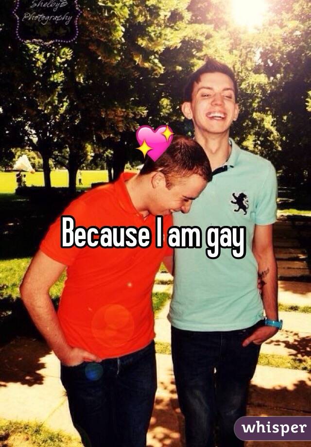 💖

Because I am gay