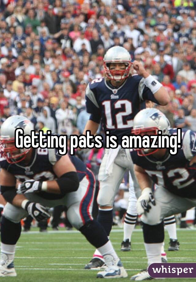 Getting pats is amazing!