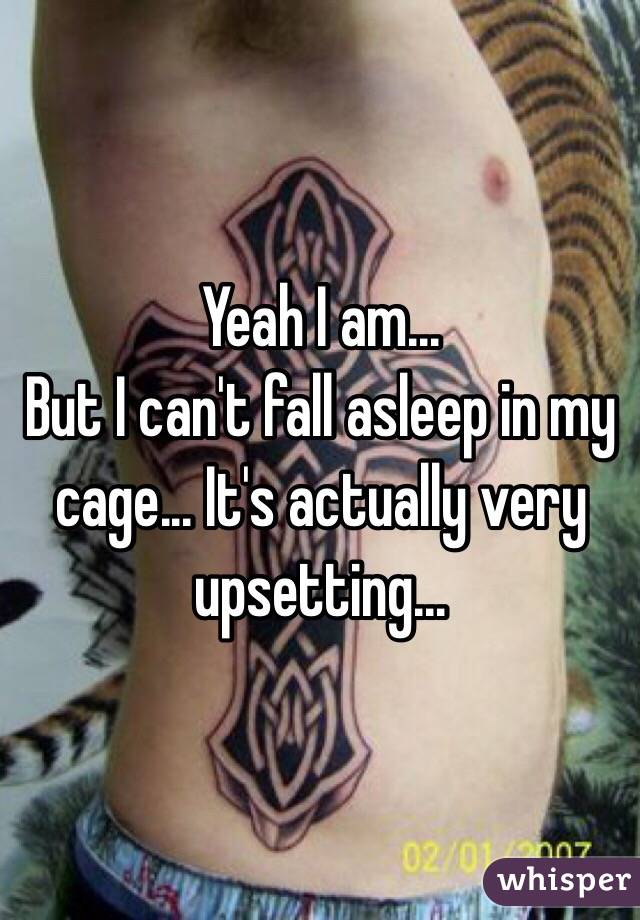 Yeah I am... 
But I can't fall asleep in my cage... It's actually very upsetting... 
